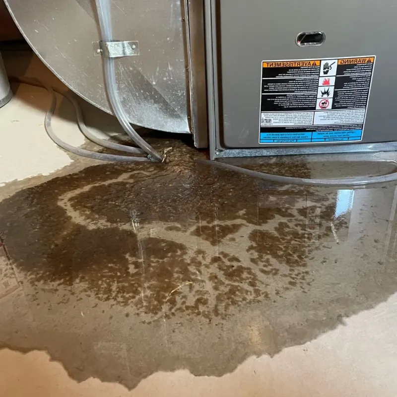 Pipe Burst and Leak Restoration in Wetumka, OK