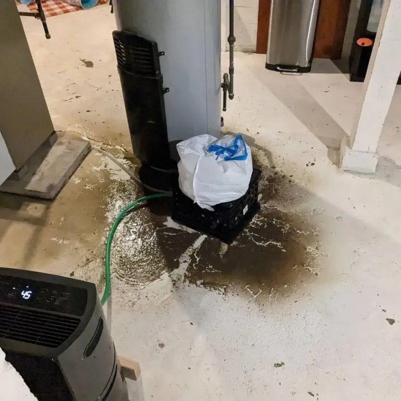 Sewage Backup Cleanup Service in Wetumka, OK
